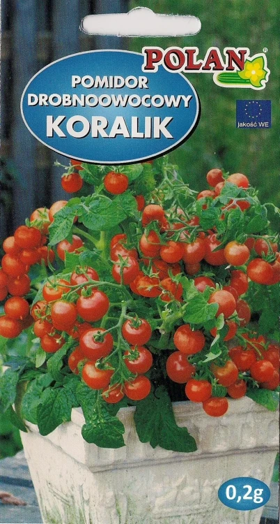Pomidor malinowy koralik 0,2g nasiona pomidorów
