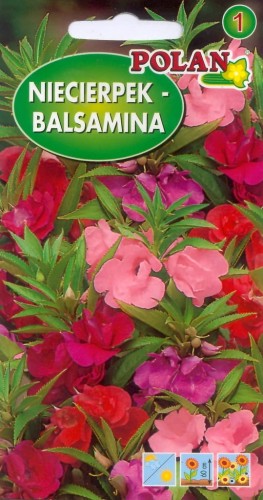 NIECIERPEK BALSAMINA 2g nasiona kwiatów polan