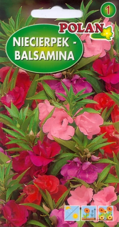 NIECIERPEK BALSAMINA 2g nasiona kwiatów polan
