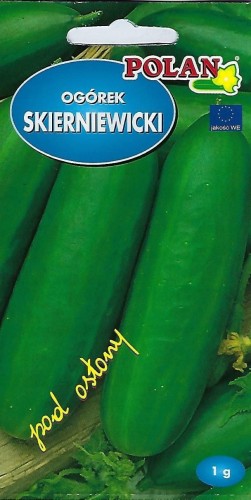 Ogórek Szklarniowy skierniewicki 1g nasiona ogórków