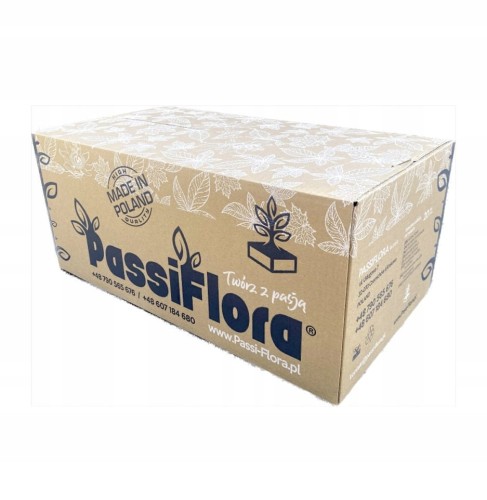 GĄBKA florystyczna SUCHA 20 szt Passiflora